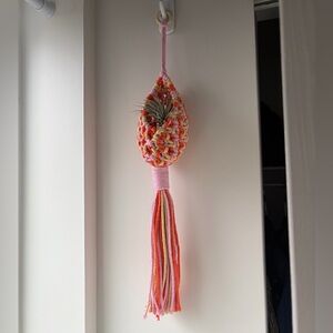 Air Plant Macrame Pod